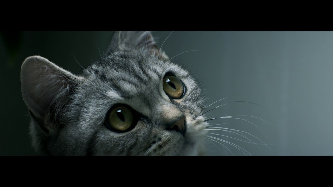 WHISKAS ® - Torneira