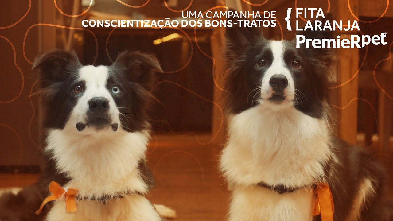 #NutrindoLaços | PremieRpet
