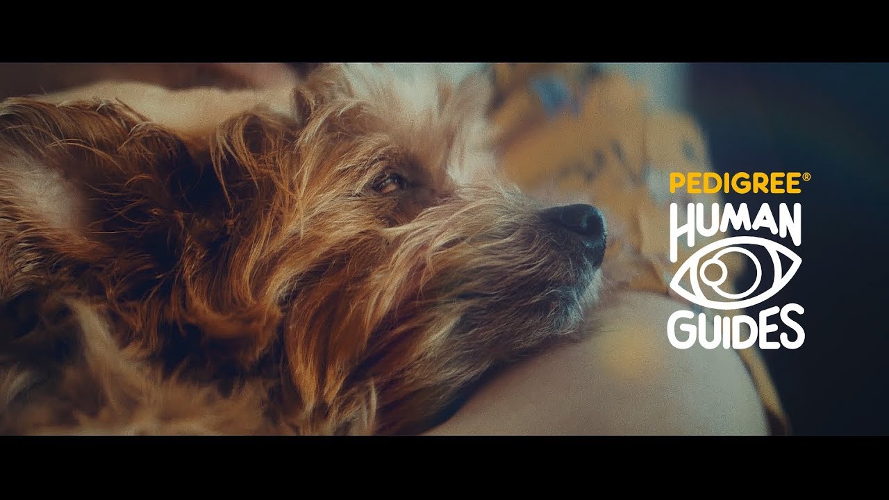 PEDIGREE® | Human Guides