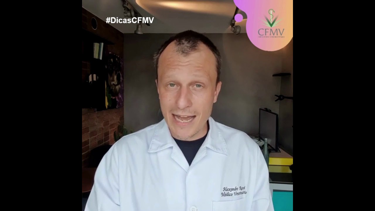 #DicasCFMV - Viagem com pet