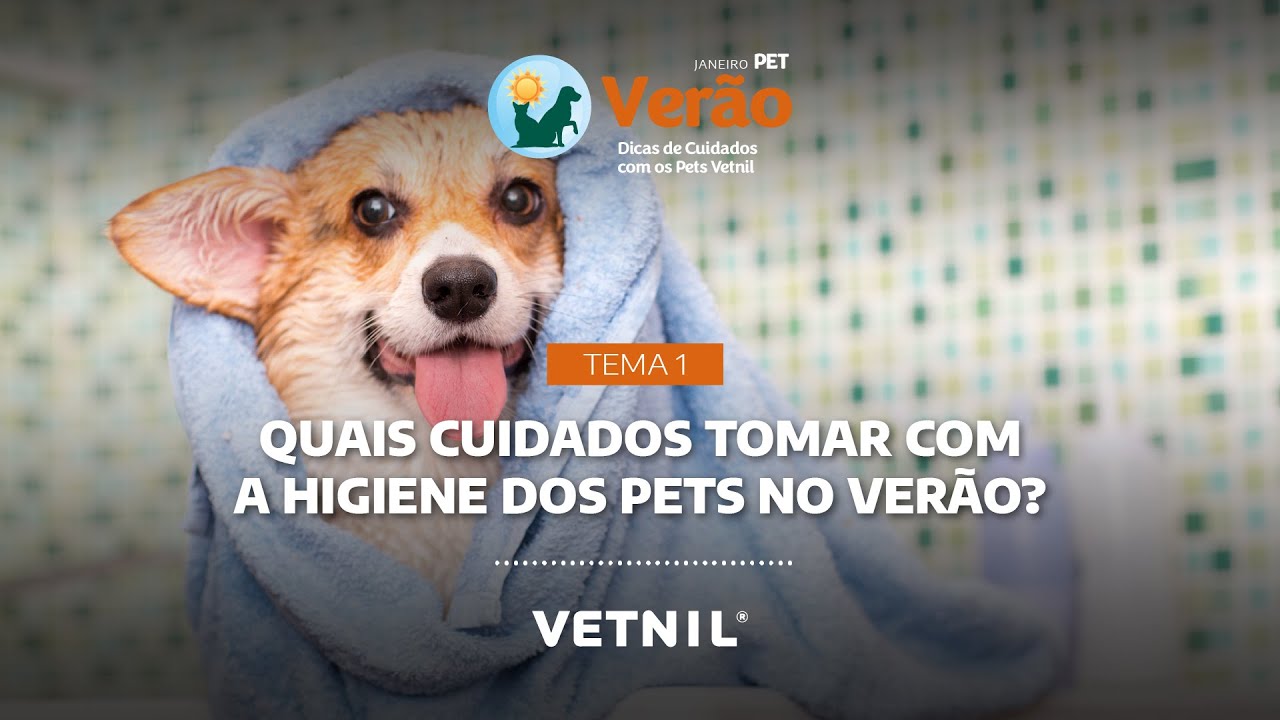 Janeiro Pet Verão – Tema 1: Quais cuidados tomar com a higiene dos pets no Verão?