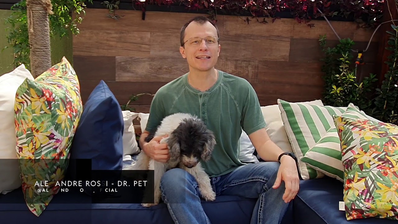 Trailer: Especial Pets em Casa