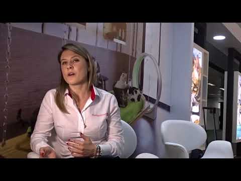 C&G VF | Juliana Werneck fala sobre o Panelis, da Diana Pet Food