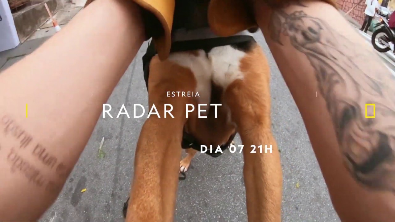 Radar Pet: Barão, um detetive canino | Trailer