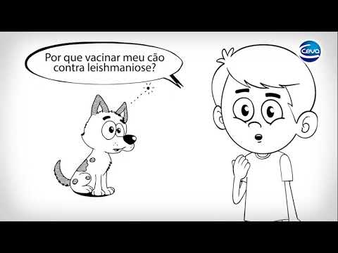 C&G VF | Vídeo mostra opções de produtos que previvem a LV em cães