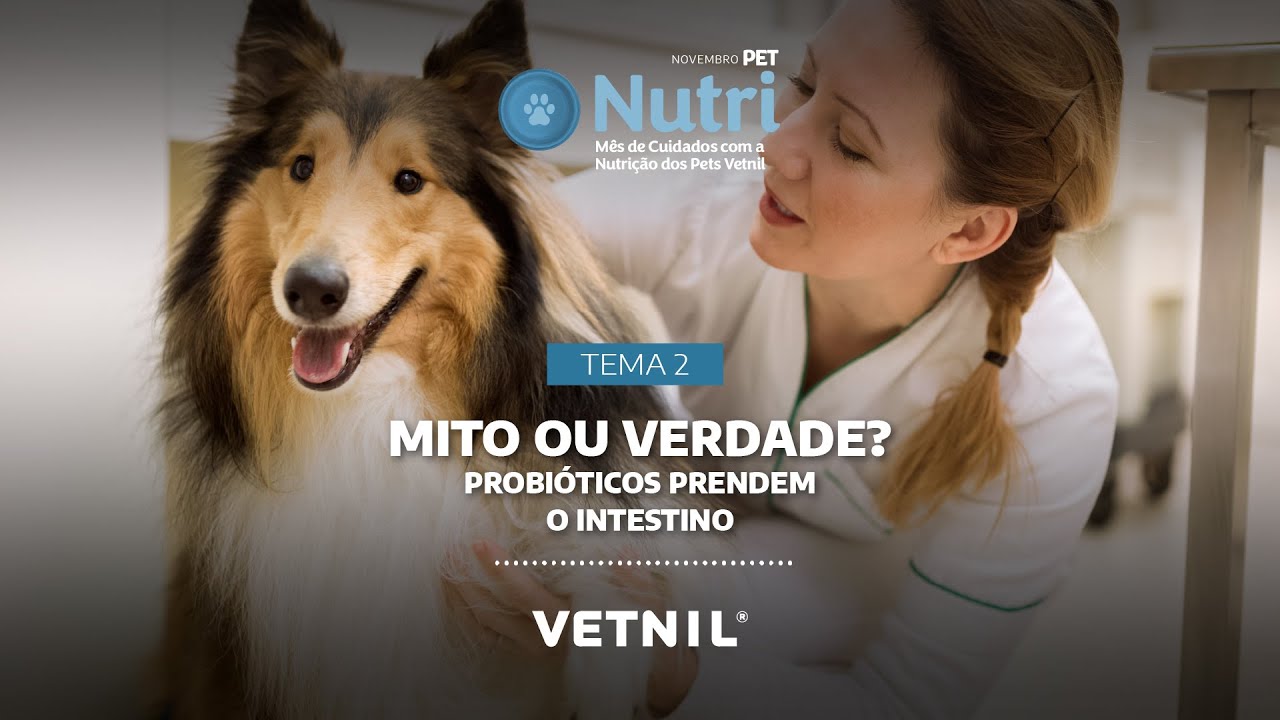 Novembro Pet Nutri – Tema 2: Mito ou Verdade? Probióticos prendem o intestino