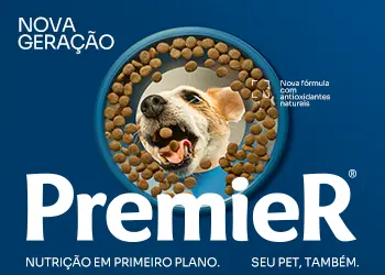 premier-novageracao-010426