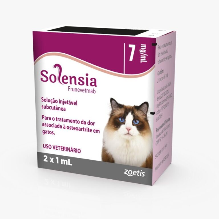 Novo medicamento possibilita vida sem dor para gatos com osteoartrite ...