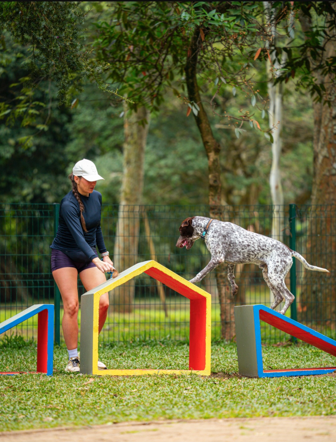 Festival Pet acontece este final de semana em São Paulo com entrada gratuita