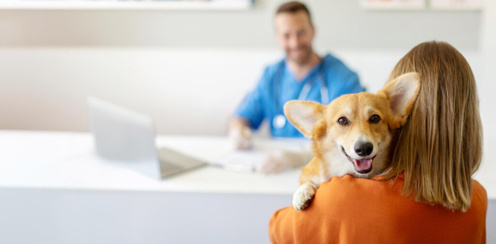 Vetnil destaca a importância dos check-ups e demais cuidados básicos com os pets