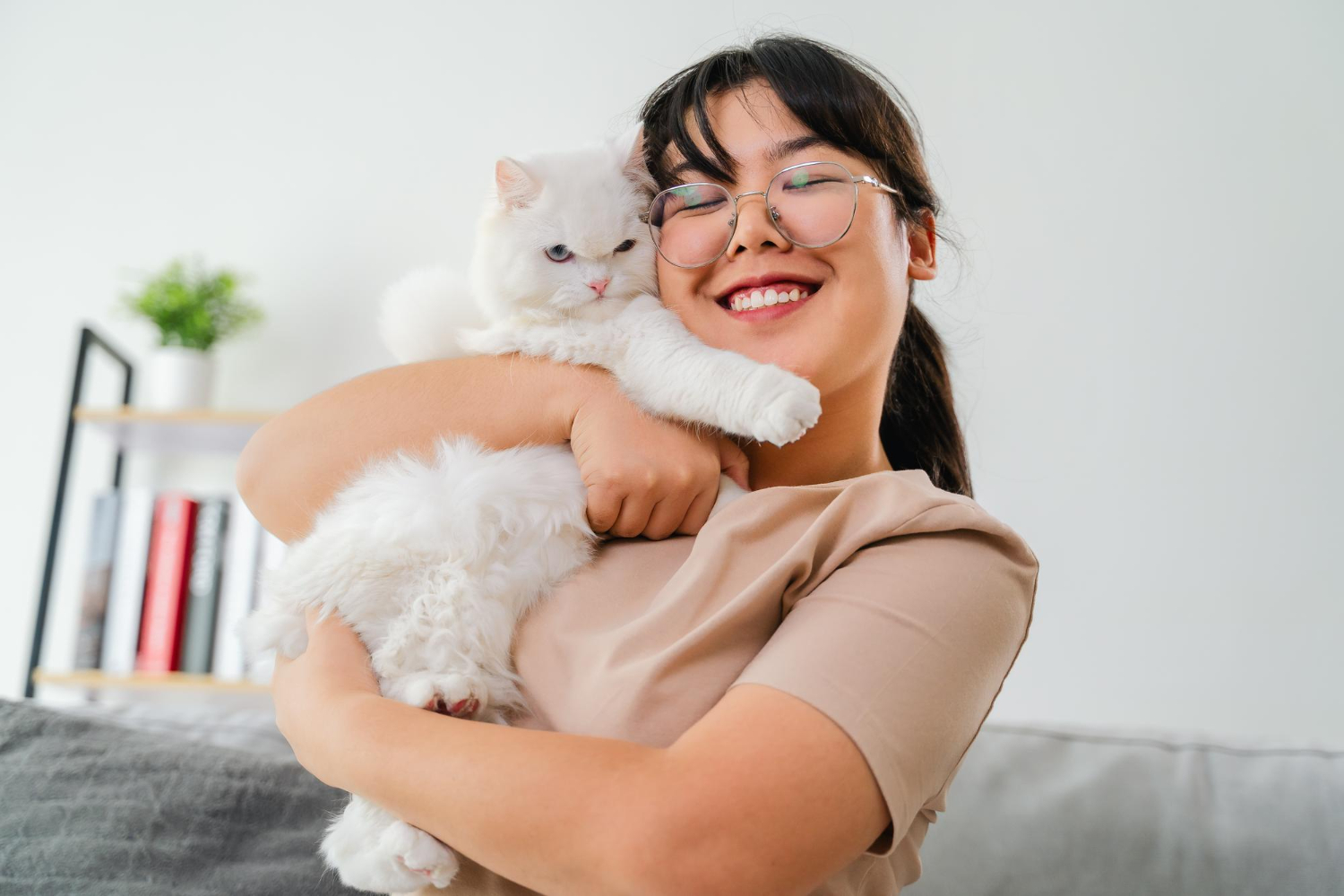 gato e tutor