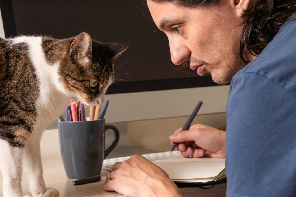 Especialista mostra como identificar quando seu gato precisa de ajuda