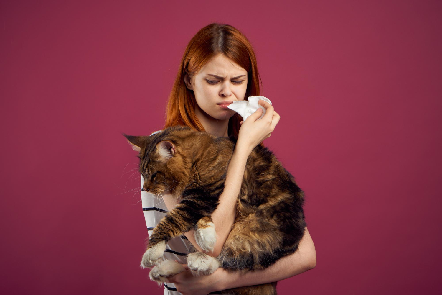 Bióloga explica mitos e verdades sobre alergia a gatos