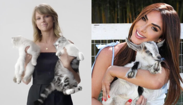 De Taylor Swift a Nicole Bahls: pets de famosos que conquistam o público e dominam as redes