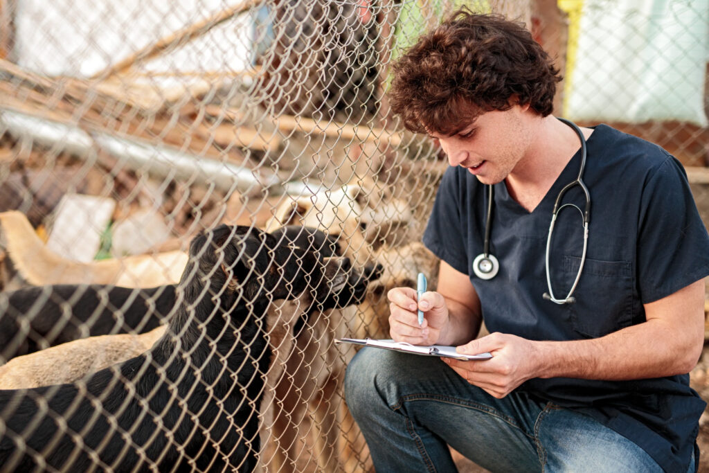 Faculdade de Medicina Veterinária Qualittas celebra o início da primeira turma de Graduação