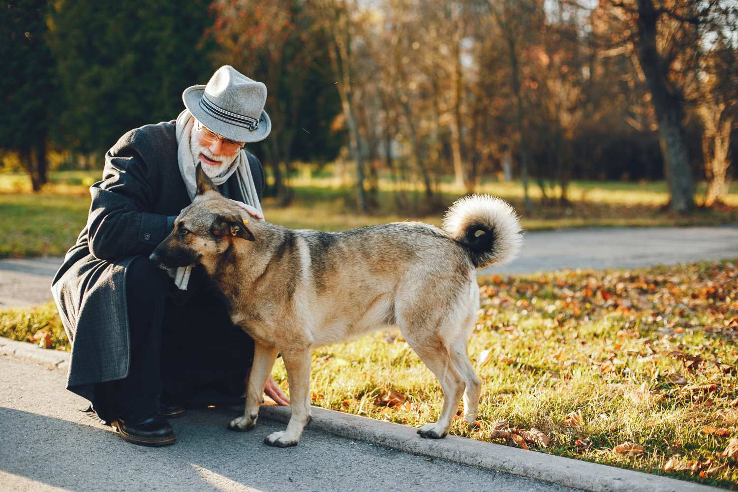 Herança para pets é um tema ainda incerto no Brasil