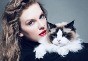 De Taylor Swift a Nicole Bahls: pets de famosos que conquistam o público e dominam as redes