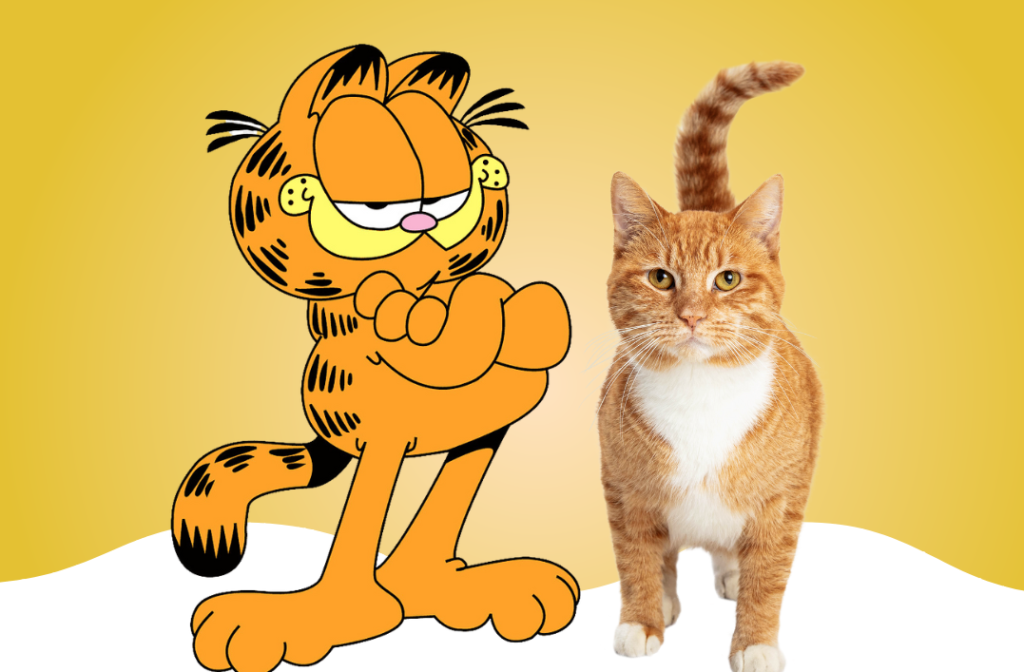 Características dos gatos amarelos - os mais carinhosos  Cartoon  caracters, Garfield cartoon, Classic cartoon characters