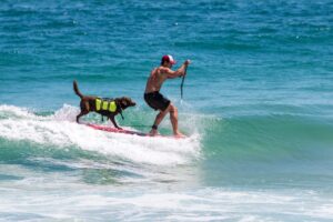 Surf Dog