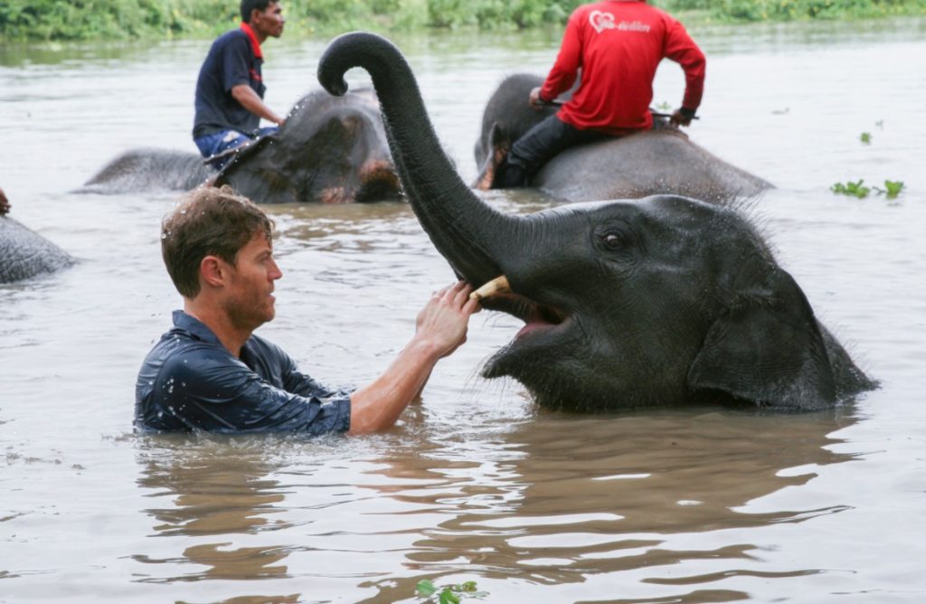 ANIMAL PLANET MOSTRARÁ TRABALHO DE VETERINÁRIO EM RESGATE DE ANIMAIS