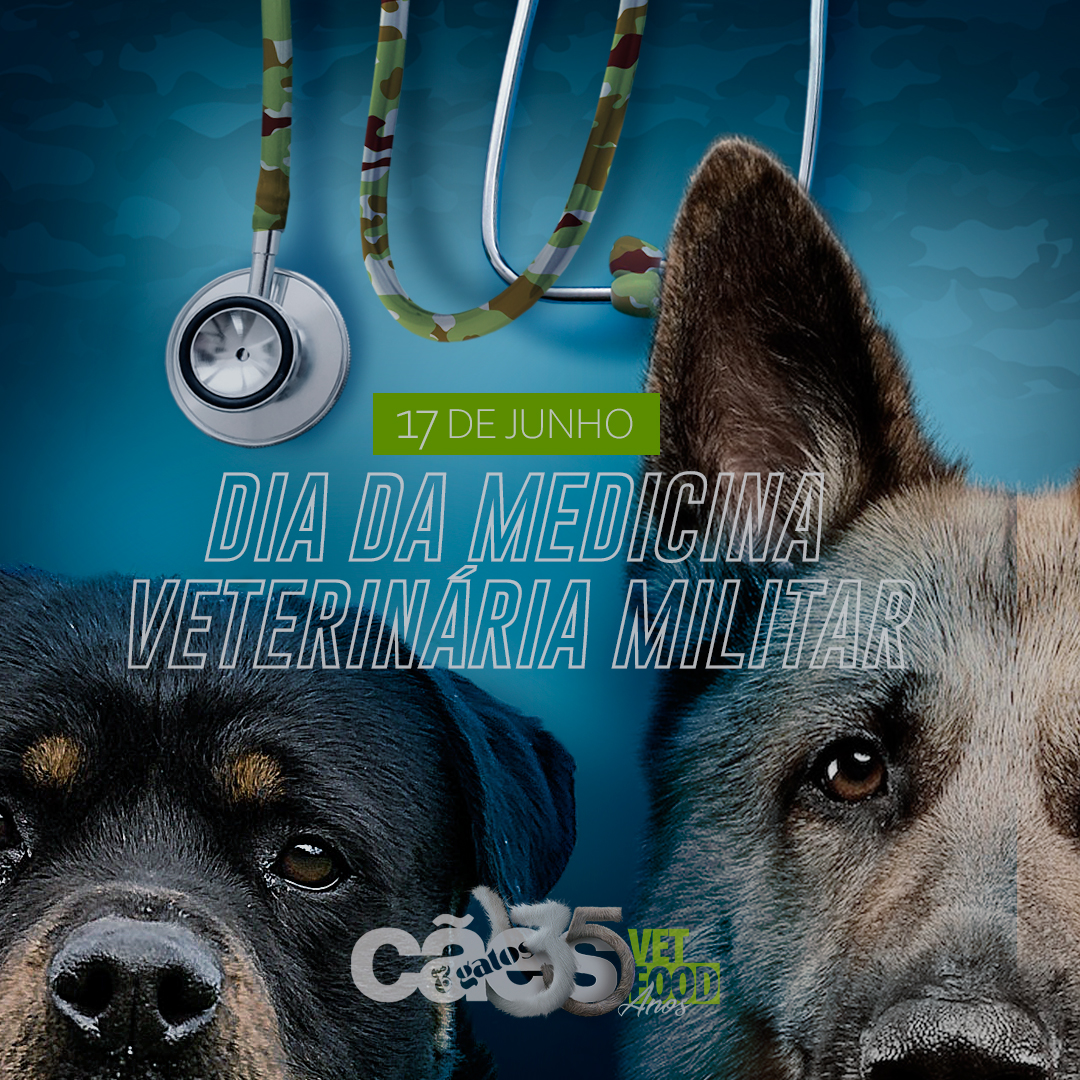 A história da cavalaria e sua importância para o nascimento da veterinária  militar – Animal Business Brasil