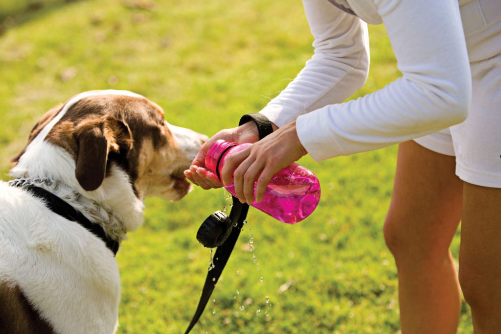 PROLIFERAÇÃO DE DOENÇAS PODE AUMENTAR NAS ESTAÇÕES MAIS QUENTES