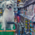 Setor pet brasileiro projeta alta de 3,36% em 2025