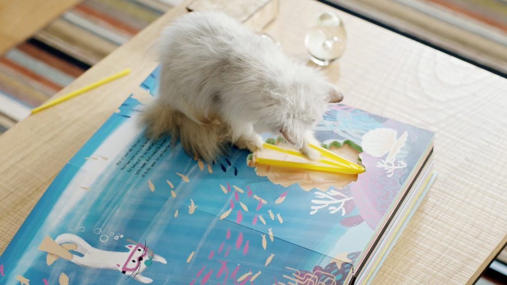 WHISKAS LANÇA LIVRO “O GATO MAIS CURIOSO DO MUNDO”