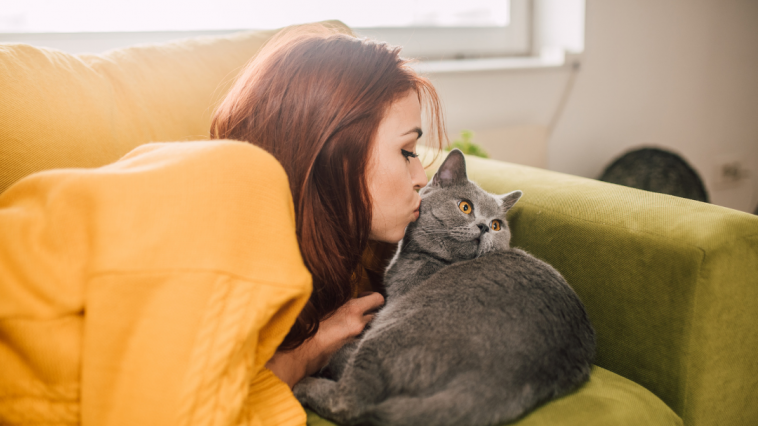 LiveClear Nestlé Purina