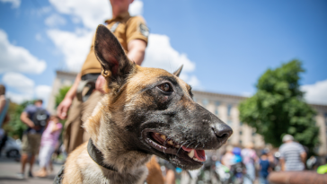 dia da medicina veterinária militar