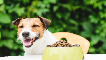 linha nutrição veterinária