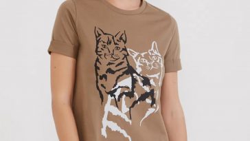 collab Maria Filó e Ampara Animal