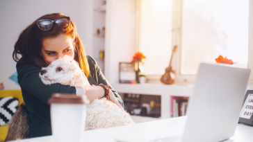 campanha Dog's Office da Pedigree