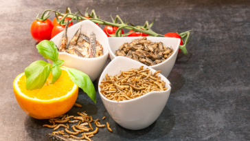 proteína de insetos para pets