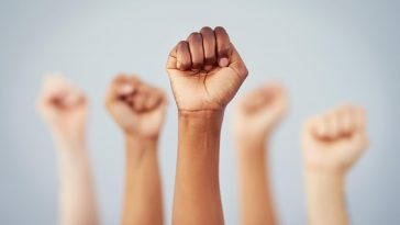 CRMV-SP denuncia racismo e xenofobia