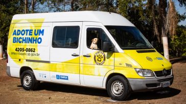 abrigo animais e moradores de rua