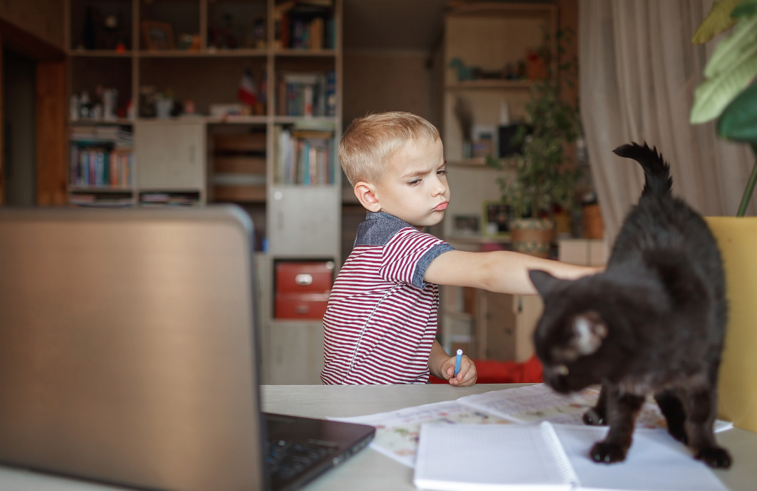 pets ajudam no desenvolvimento escolar das crianças