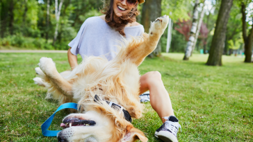 melhorar expectativa de vida dos pets