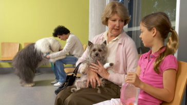 Pet Care compra CSA Jardins