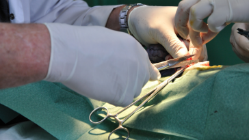 cirurgia