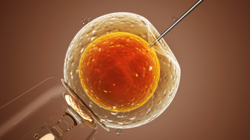 Inseminação artificial