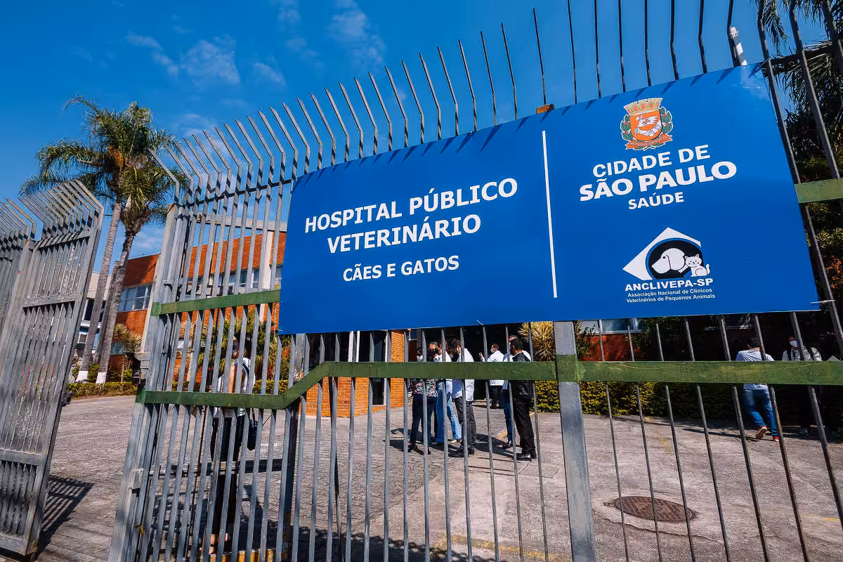1º Hospital Público Veterinário do País comemora 10 anos de existência