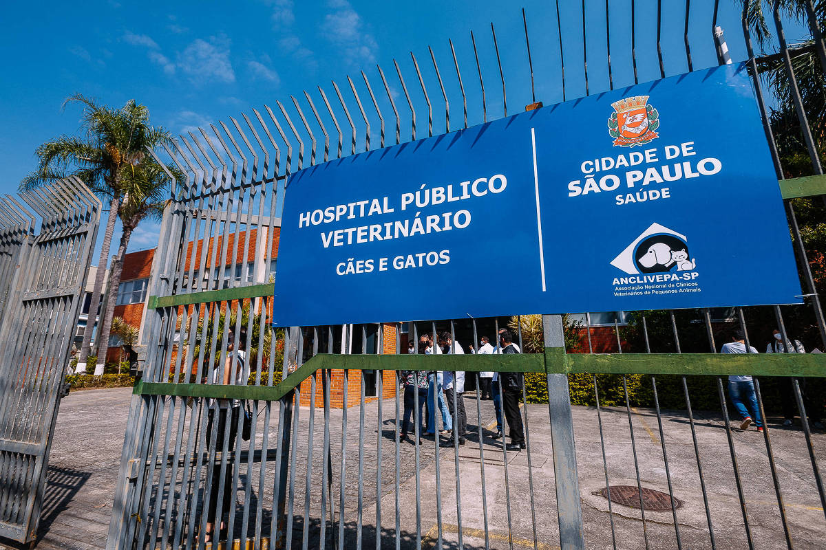 hospital veterinário público