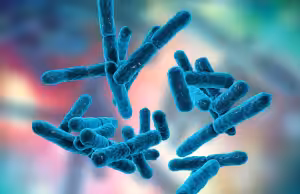 probióticos petfood