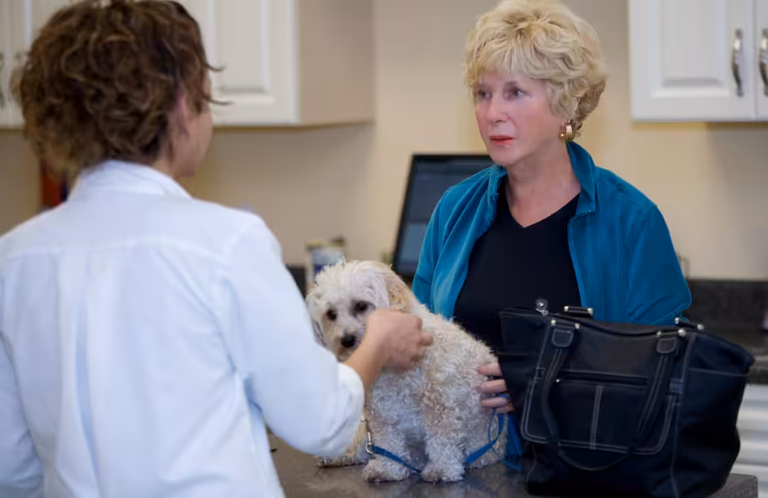 Para conquistar clientes, veterinário requer empenho, planejamento e capacitação