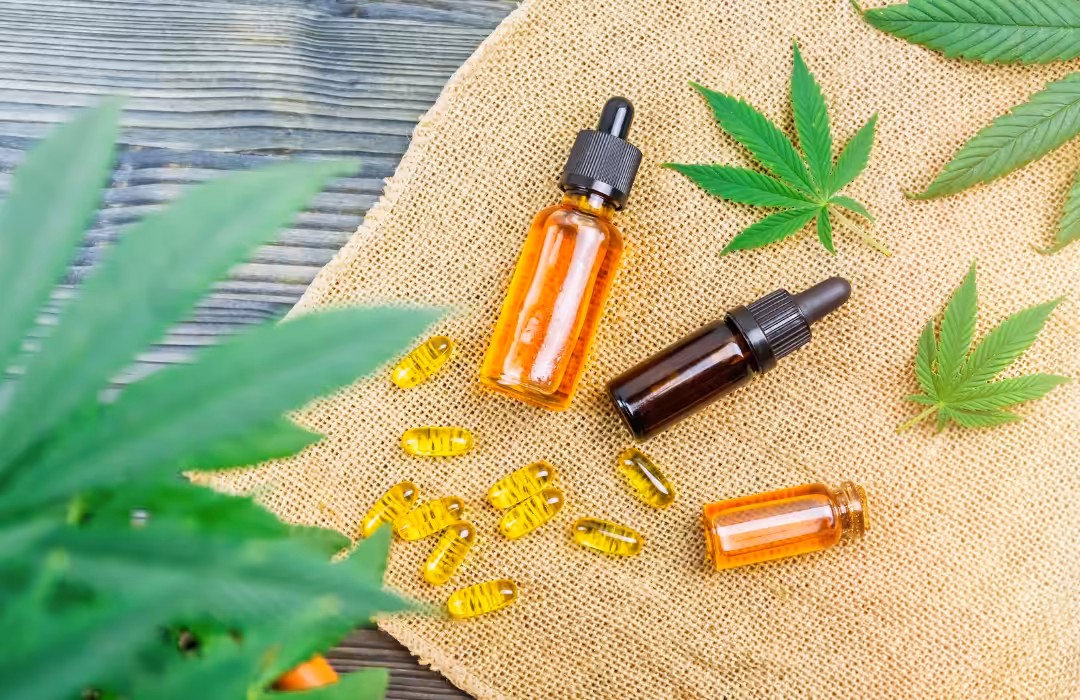 Uso de cannabis medicinal na Veterinária impulsiona criação de grupo de trabalho no CRMV-SP