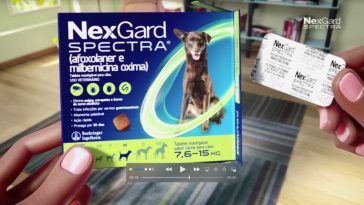 nexgard spectra