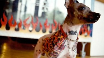 tatuagem animal