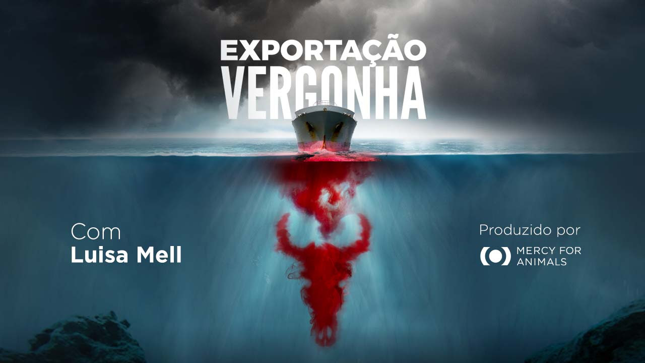 Exportação Vergonha