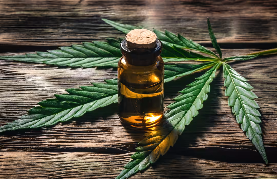Projeto Cannabis nas Universidades é criado por profissionais da Veterinária